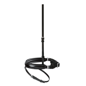 Passier anatomically formed caveson special with flash strap