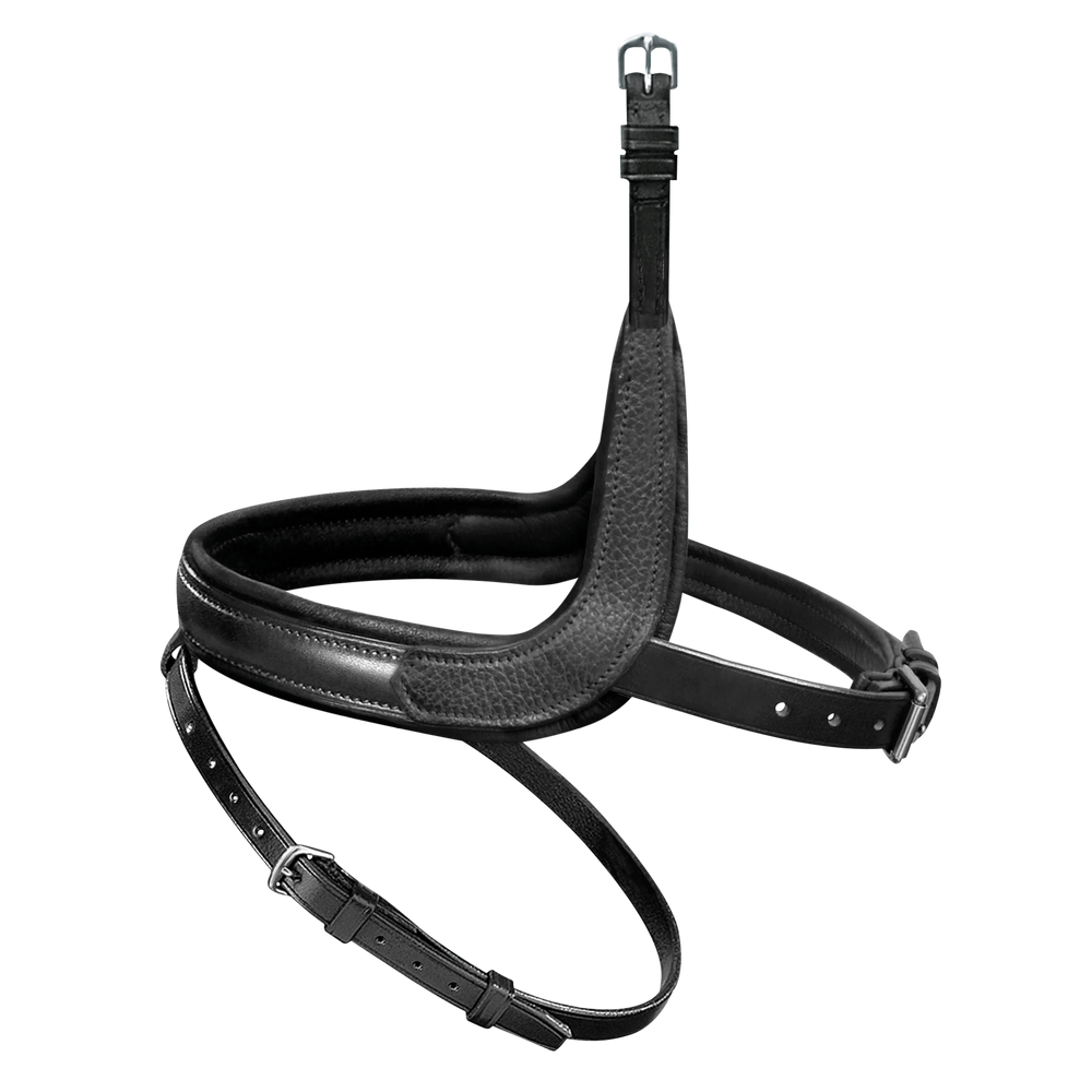 Passier exchangeable noseband with more room for the cheekbone with application