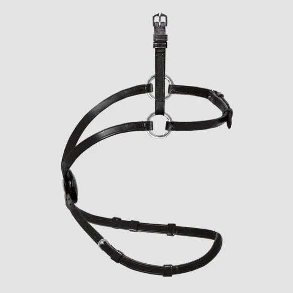 Passier exchangeable figure 8 noseband