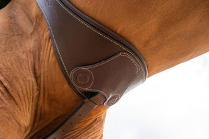 HFI anatomic girth with magnets