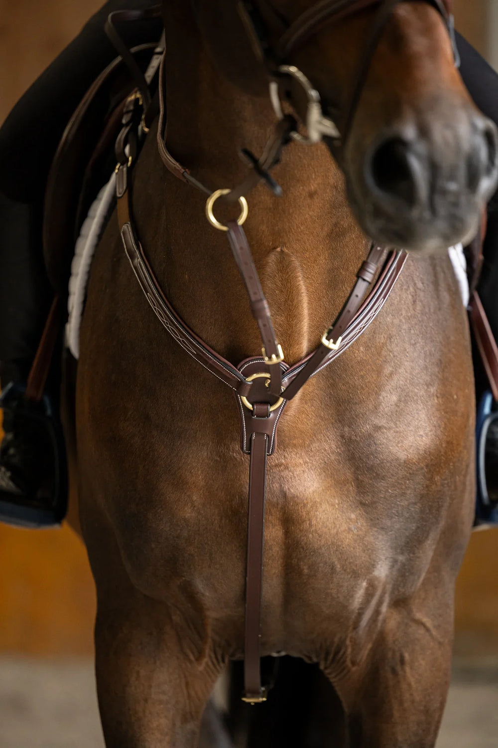 HFI pro breastplate Arezzo