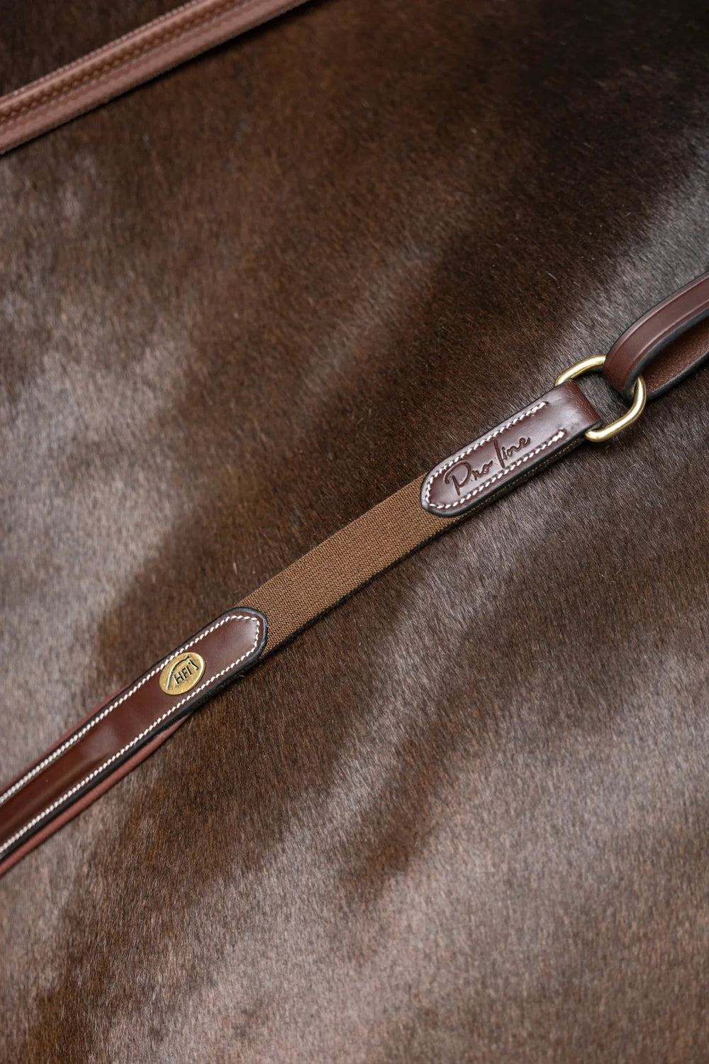 HFI pro breastplate Arezzo