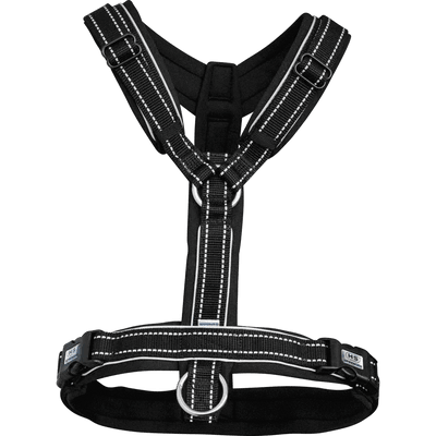 Herm. Sprenger foal harness 45744