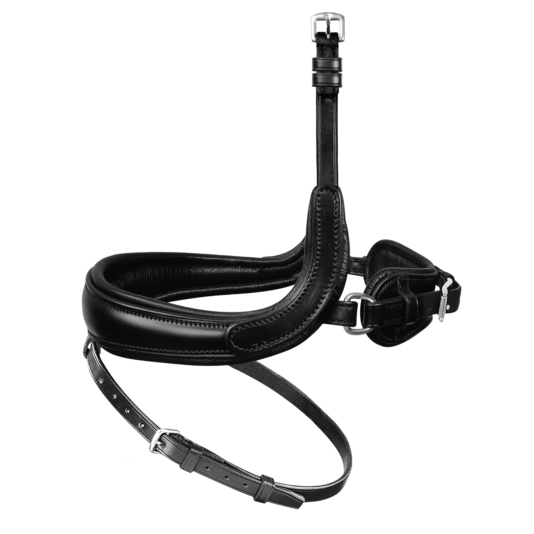 Passier exchangeable noseband with more room for the cheekbone