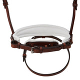 Acavallo poesia bridle