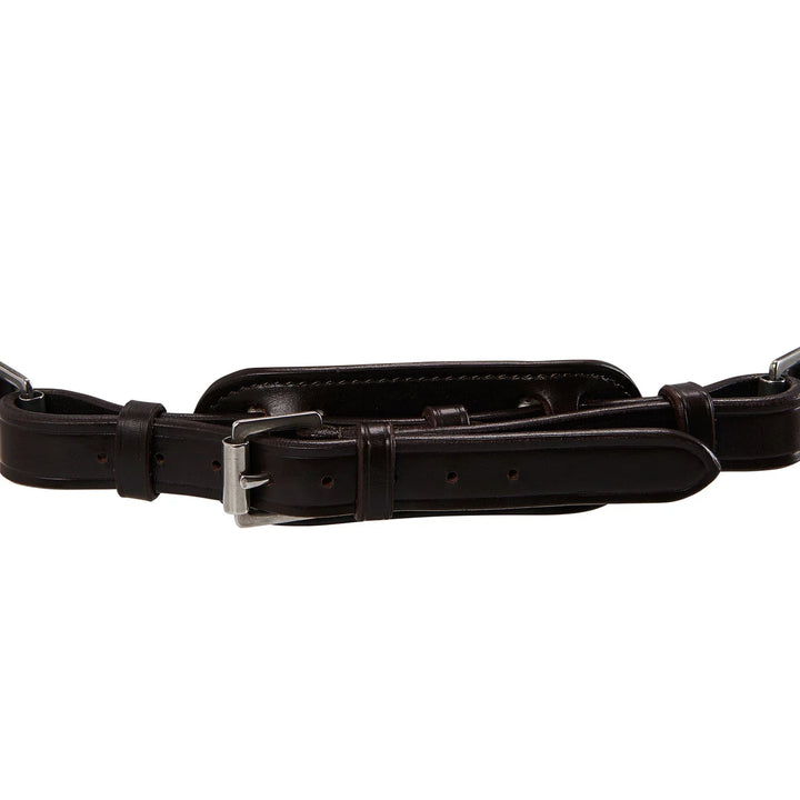 Acavallo poesia bridle