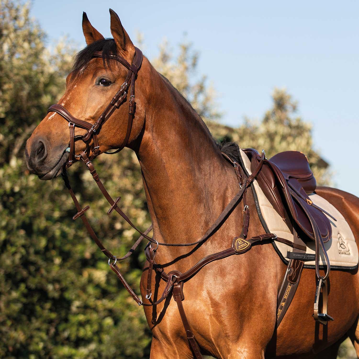 Brown horse with a saddle and bridle against a blurred natural background