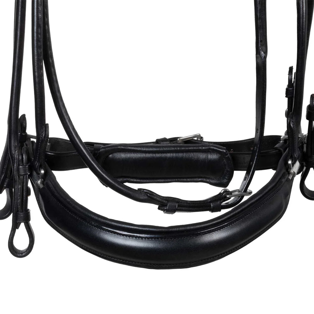 Acavallo parnaso bridle with double reins