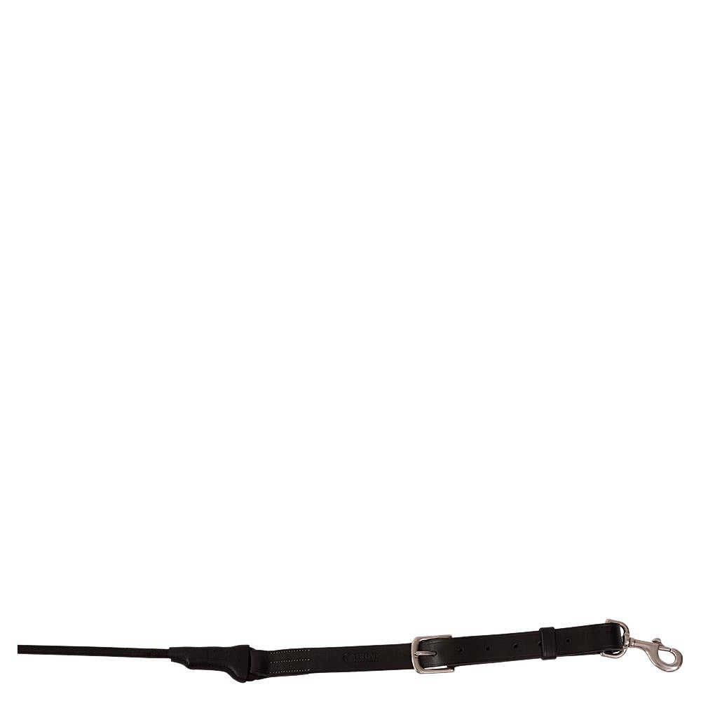 Trust training reins Tyron