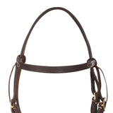 Lakota western tie ends browband bridle