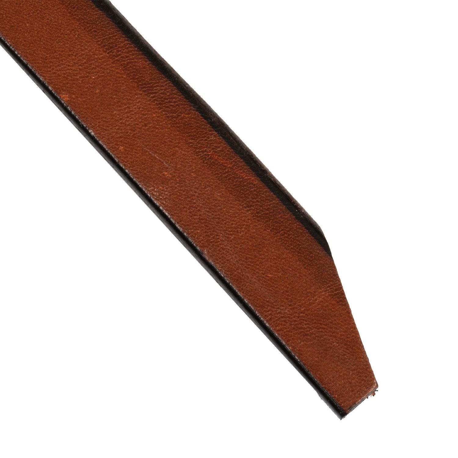 Pool's western reins with decorations