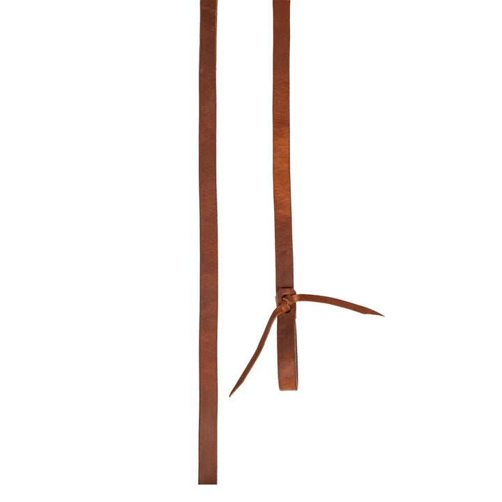 Pool's harness reins