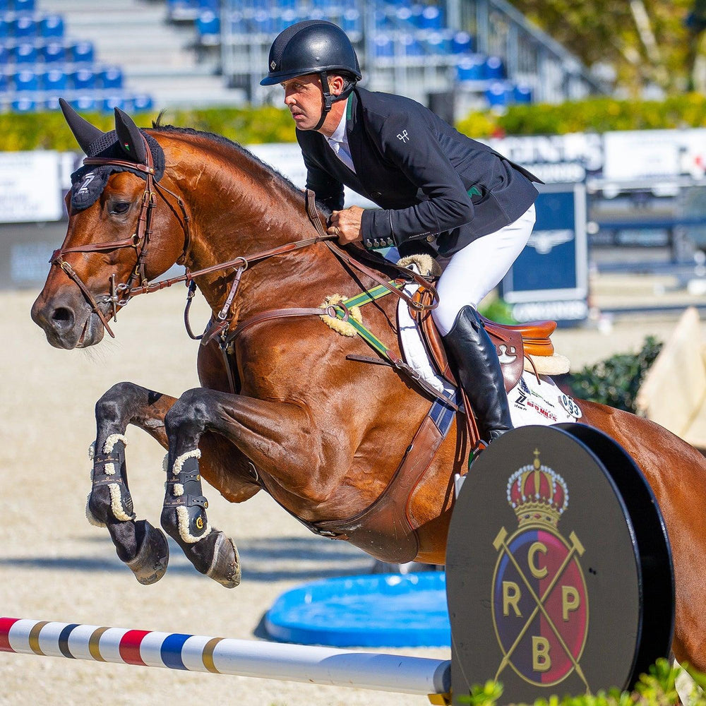 Equine America Cortaflex® HA Regular Strength Powder