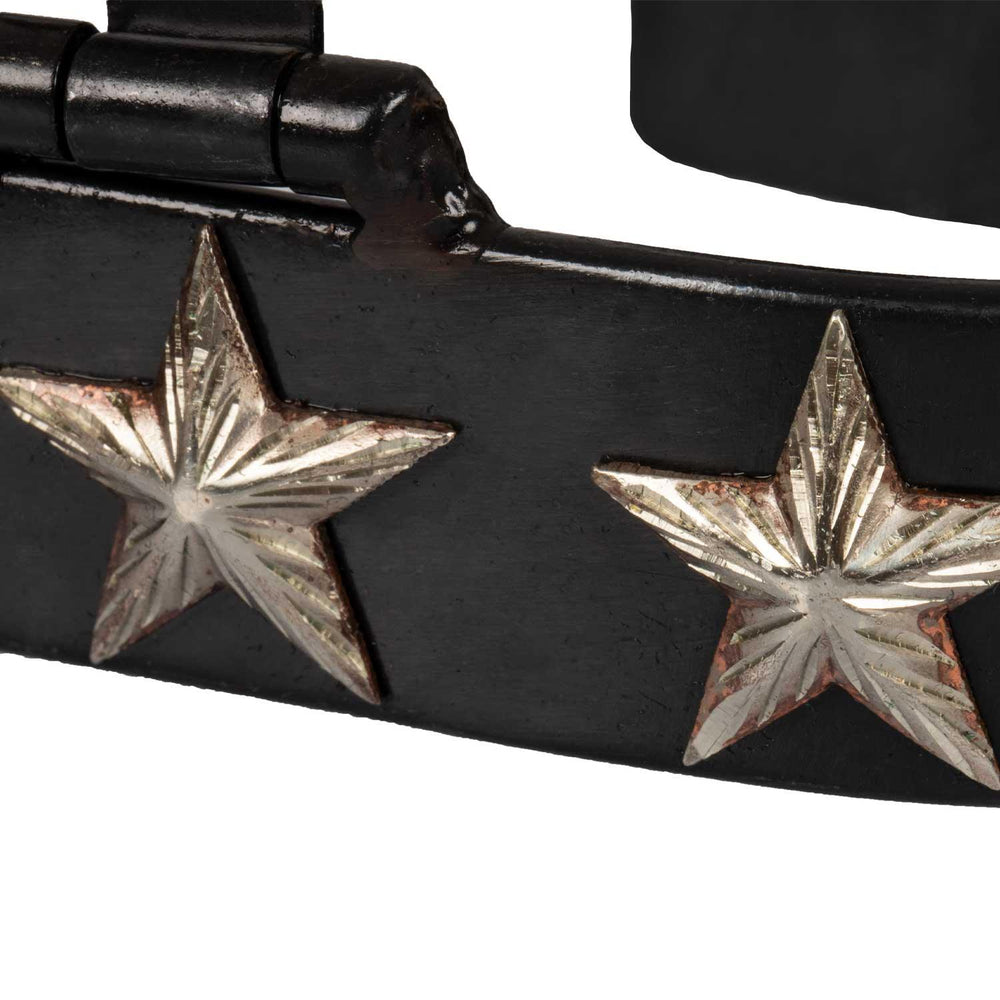 Pool's star lux western spurs