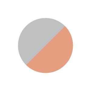 Tech stirrups endurance Venice Xtrail