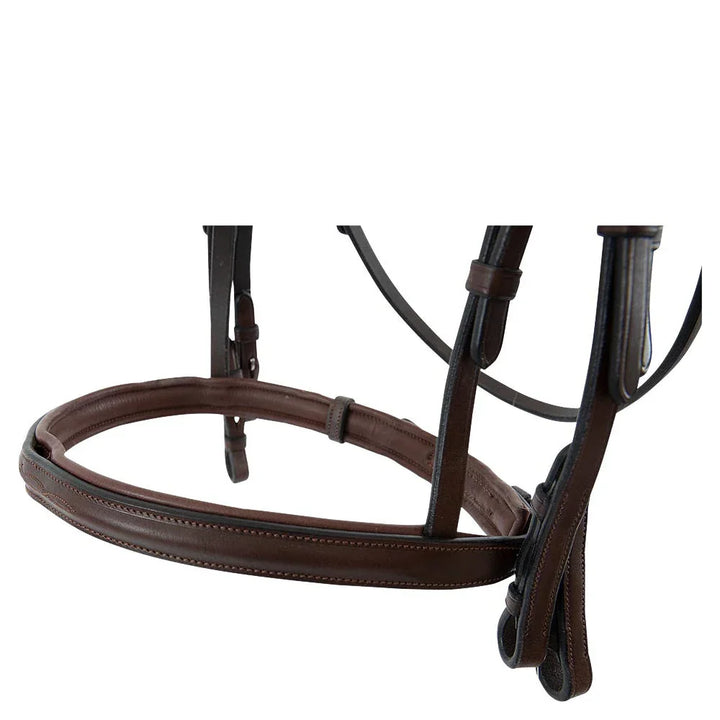 Trust Abu Dhabi bridle