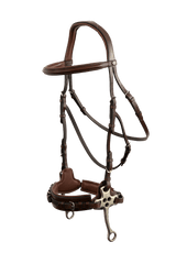 Trust Sopot bridle