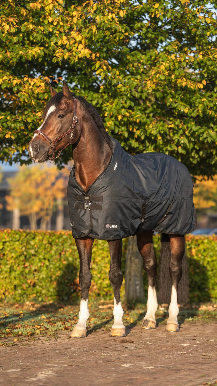 Trust equestrian tetris outdoor rug
