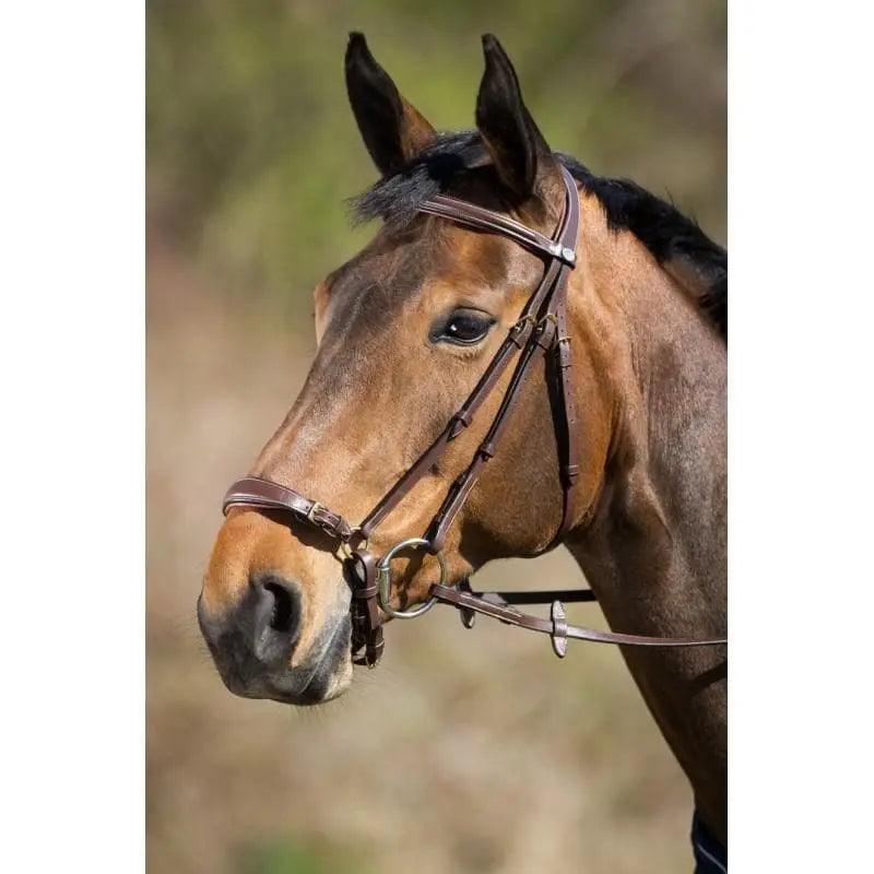 HFI German bridle HFI