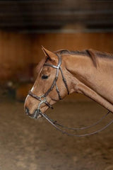 HFI hackamore bridle - HorseworldEU