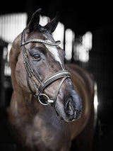 LeMieux Arika dressage bridle - HorseworldEU