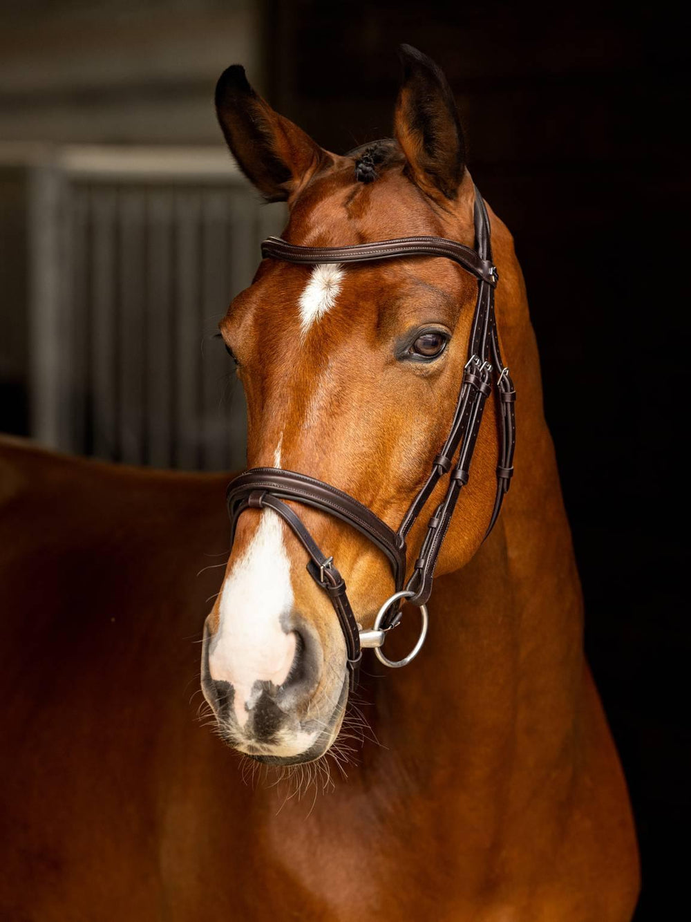 LeMieux Arika flash bridle - HorseworldEU