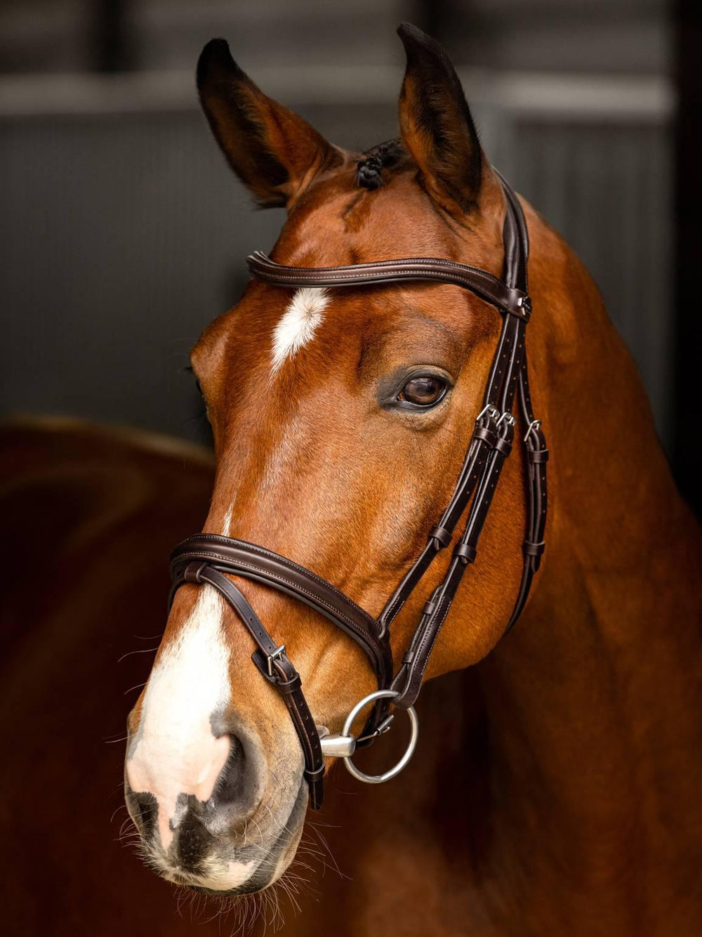 LeMieux Arika flash bridle - HorseworldEU