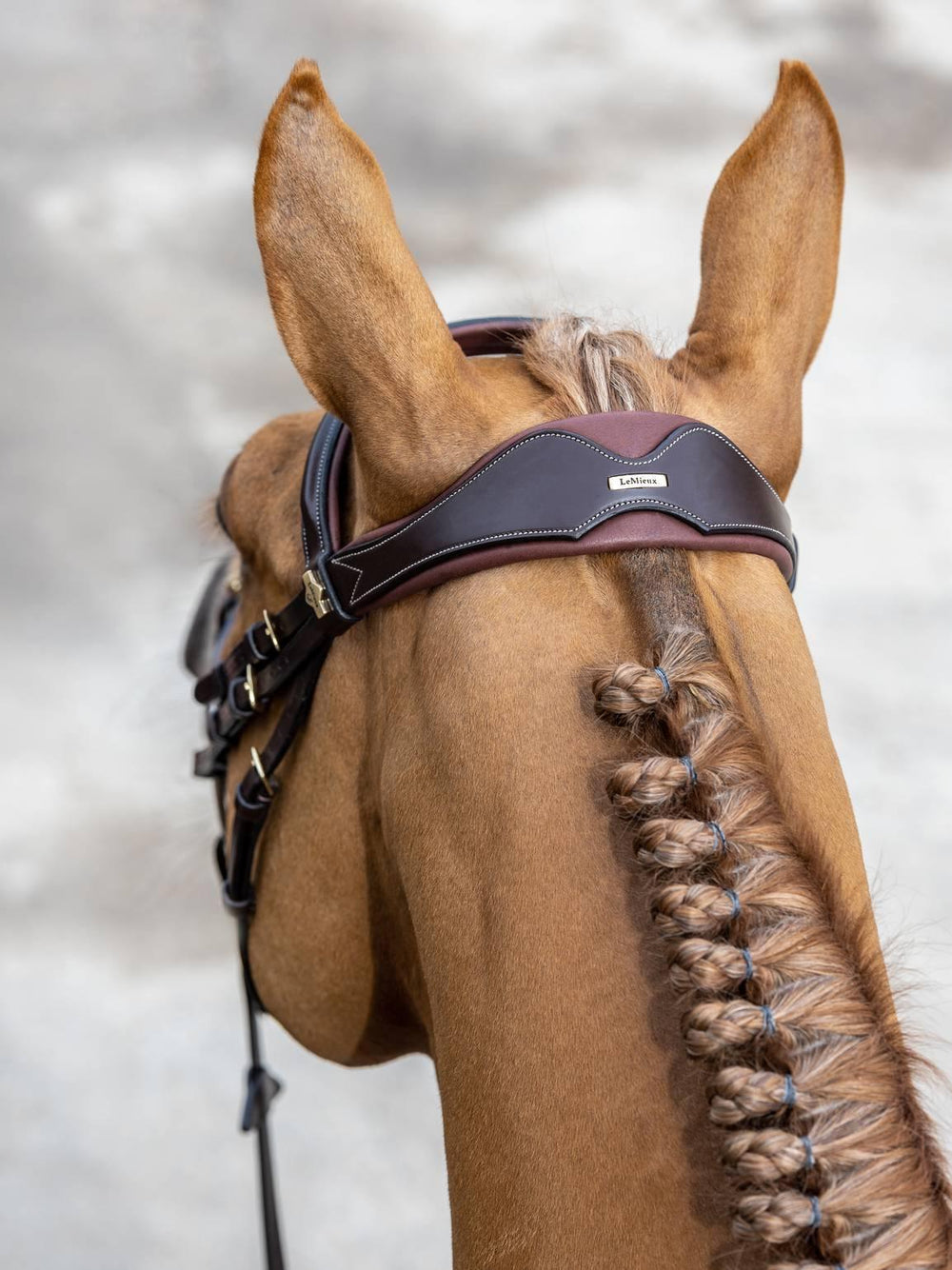 LeMieux Kudos Competition Flash bridle - HorseworldEU