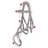 LeMieux Grackle bridle Lemieux