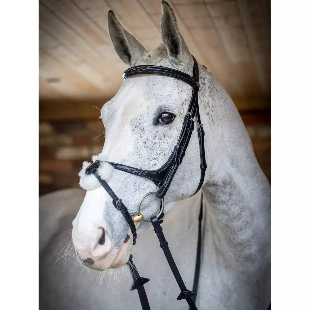 LeMieux Grackle bridle Lemieux