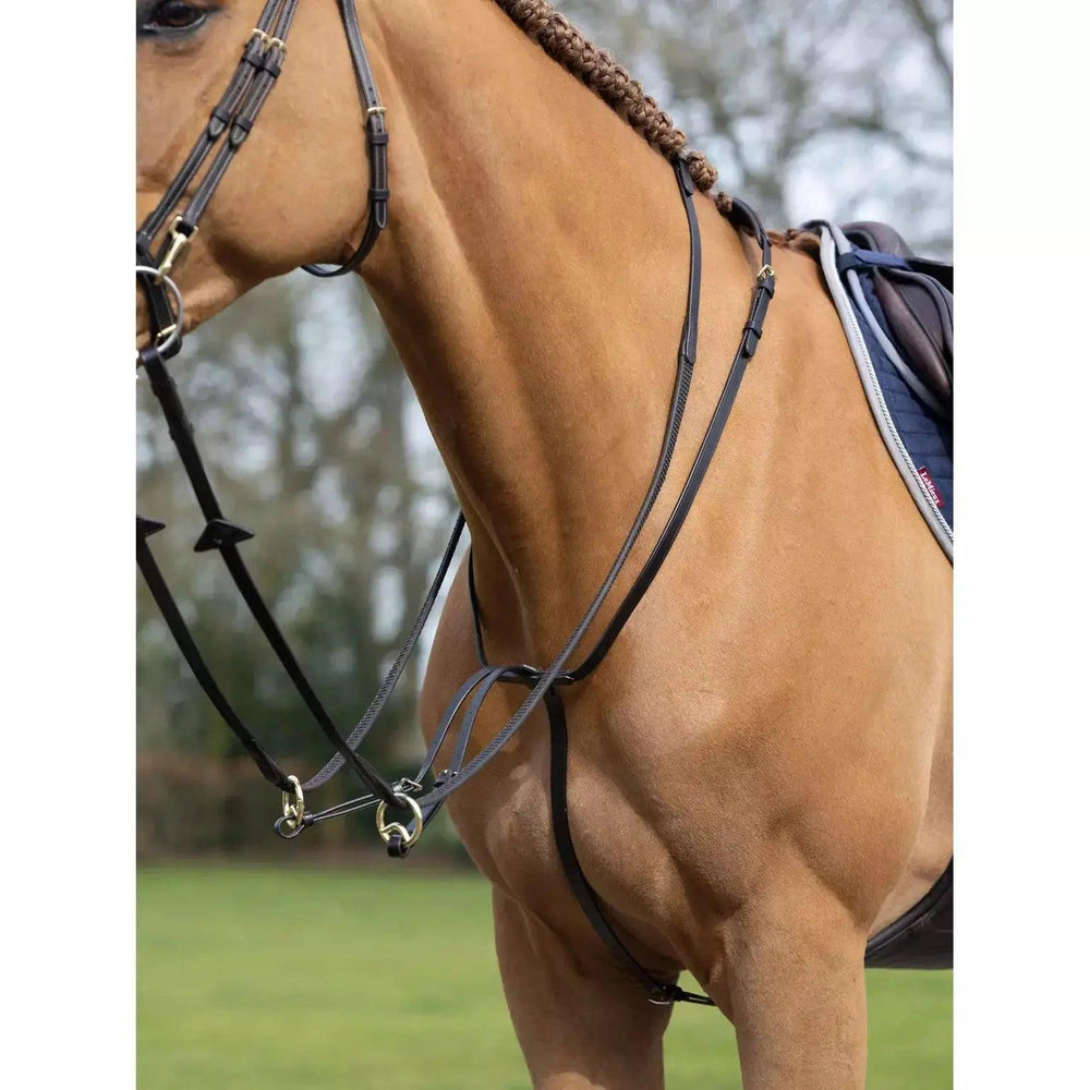 LeMieux running martingale Lemieux