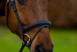 Trust Amsterdam Combined noseband bridle anatomic - HorseworldEU